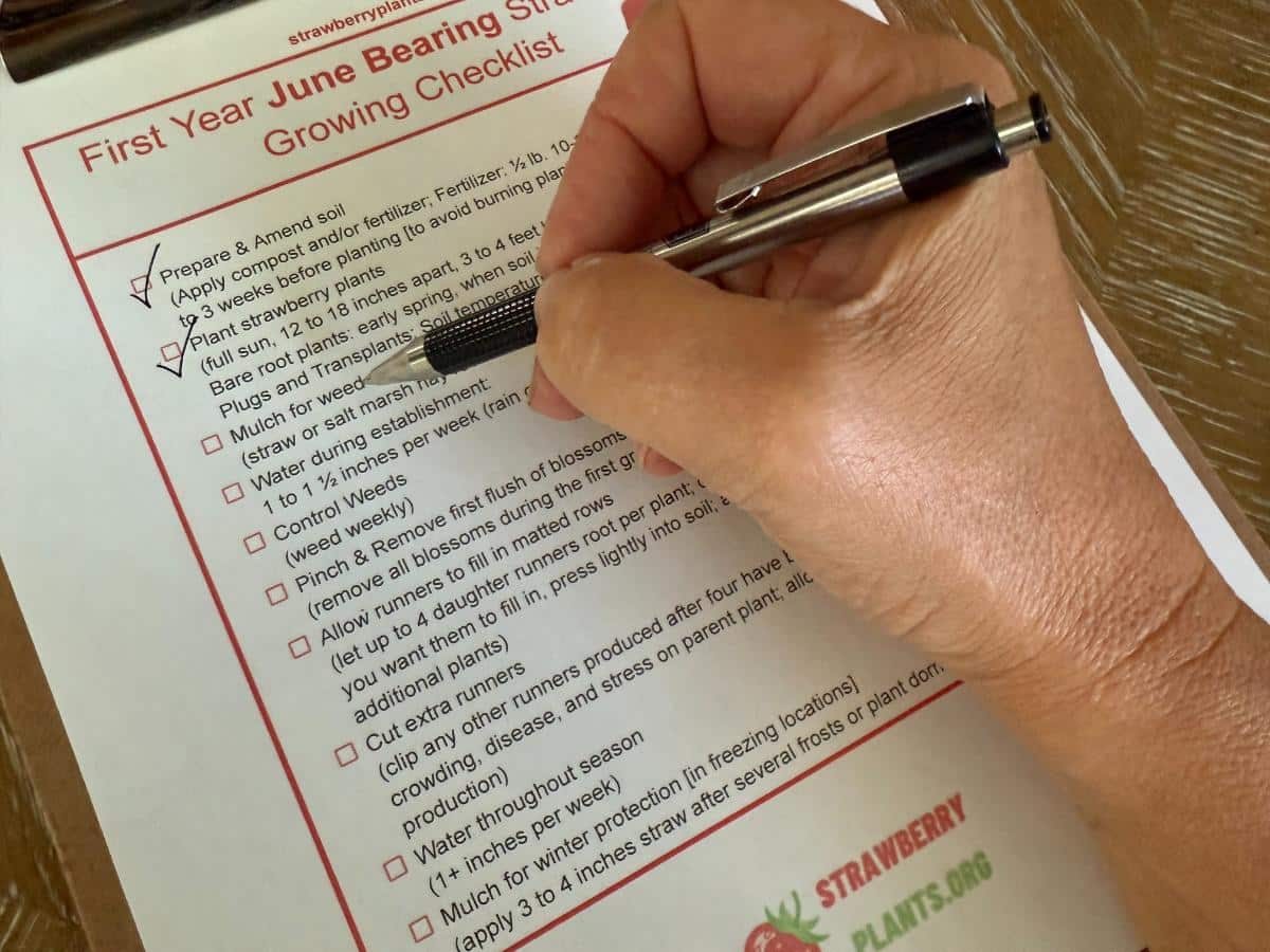 Free printable checklist for first year June bearing Strawberry patches