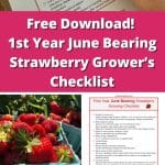 Free Download! 1st Year June Bearing Strawberry Grower’s Checklist pinterest image