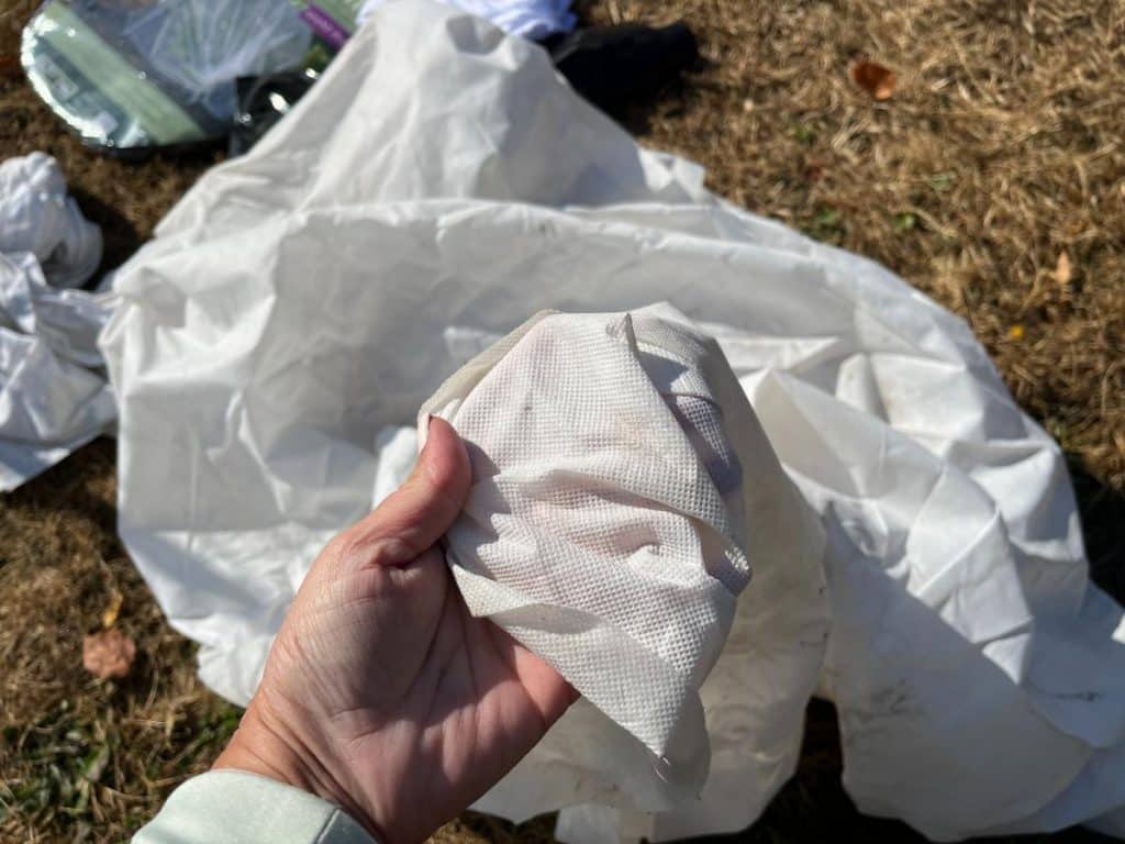 Spring Frost Protection for Strawberry Plants: What Do You Need to Do