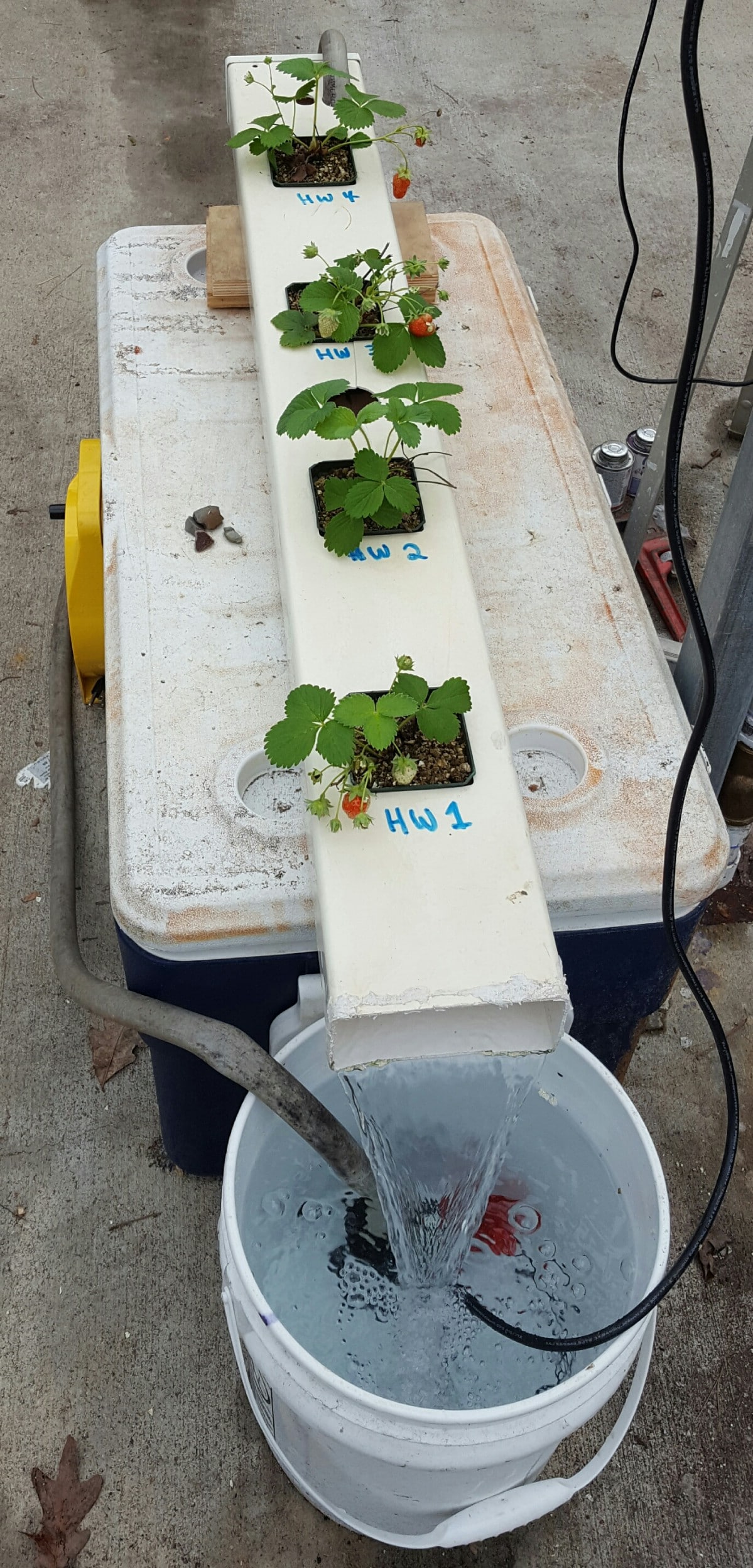 Easy diy hydrophonic system.