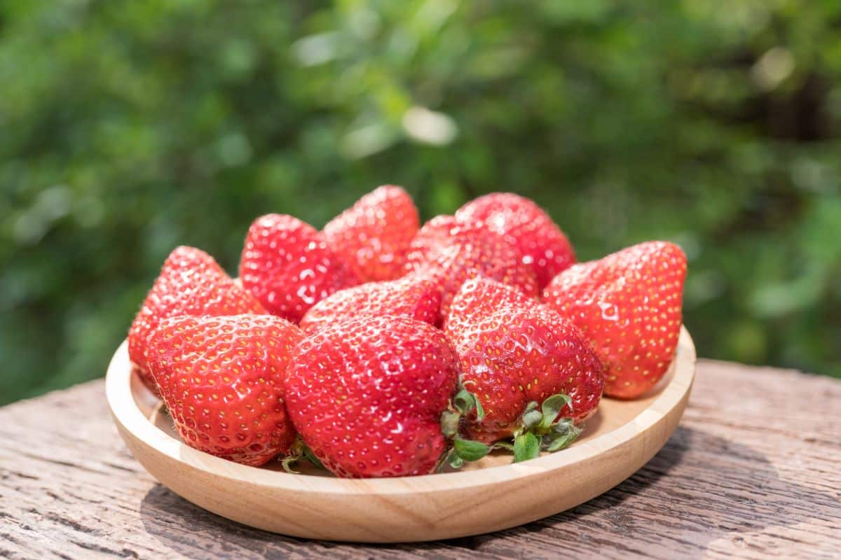 Wooden plate full of fresh ripe strawberries on a table.