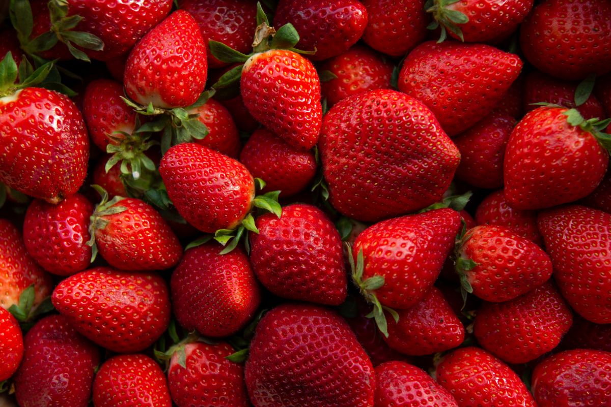 Bunch of ripe fresh strawberries