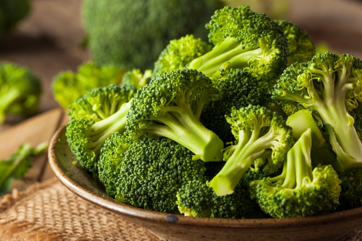 Brocolli on plate on table