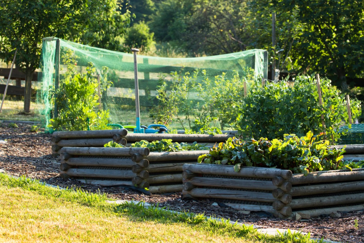 Rustic garden beds made out of logs.