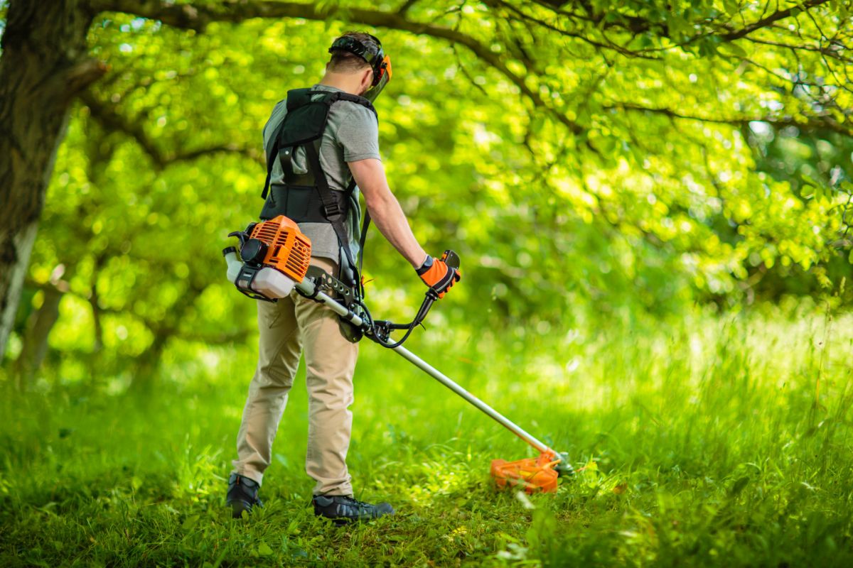 Guy mowing grass field under tree