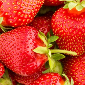 Ozark beauty strawberry freshly harvested.