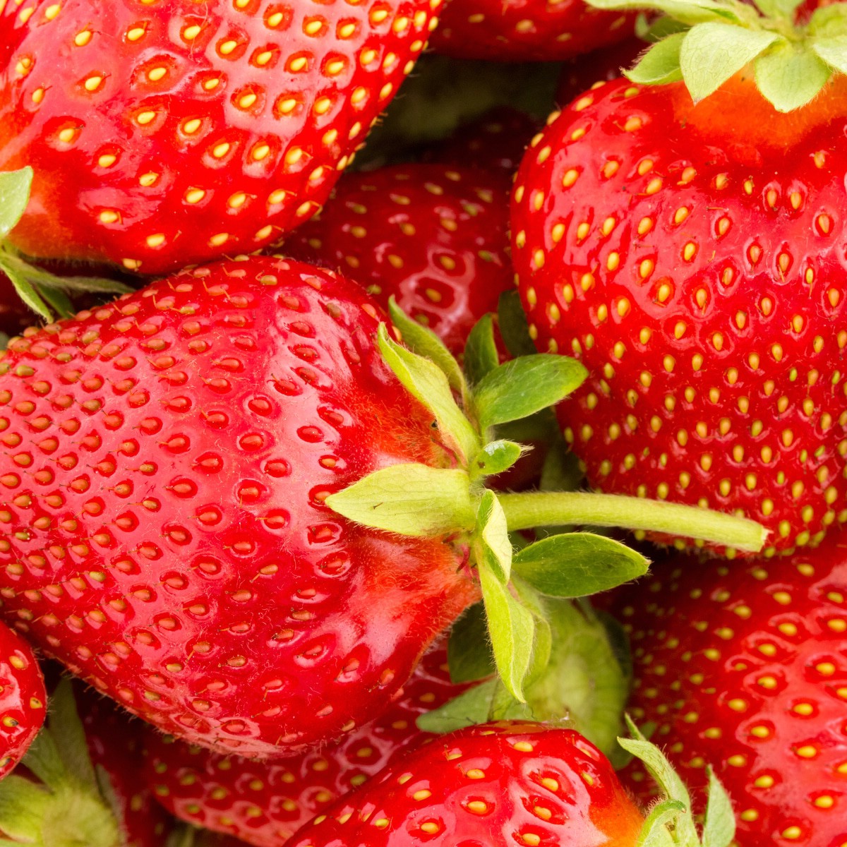 Ozark beauty strawberries.