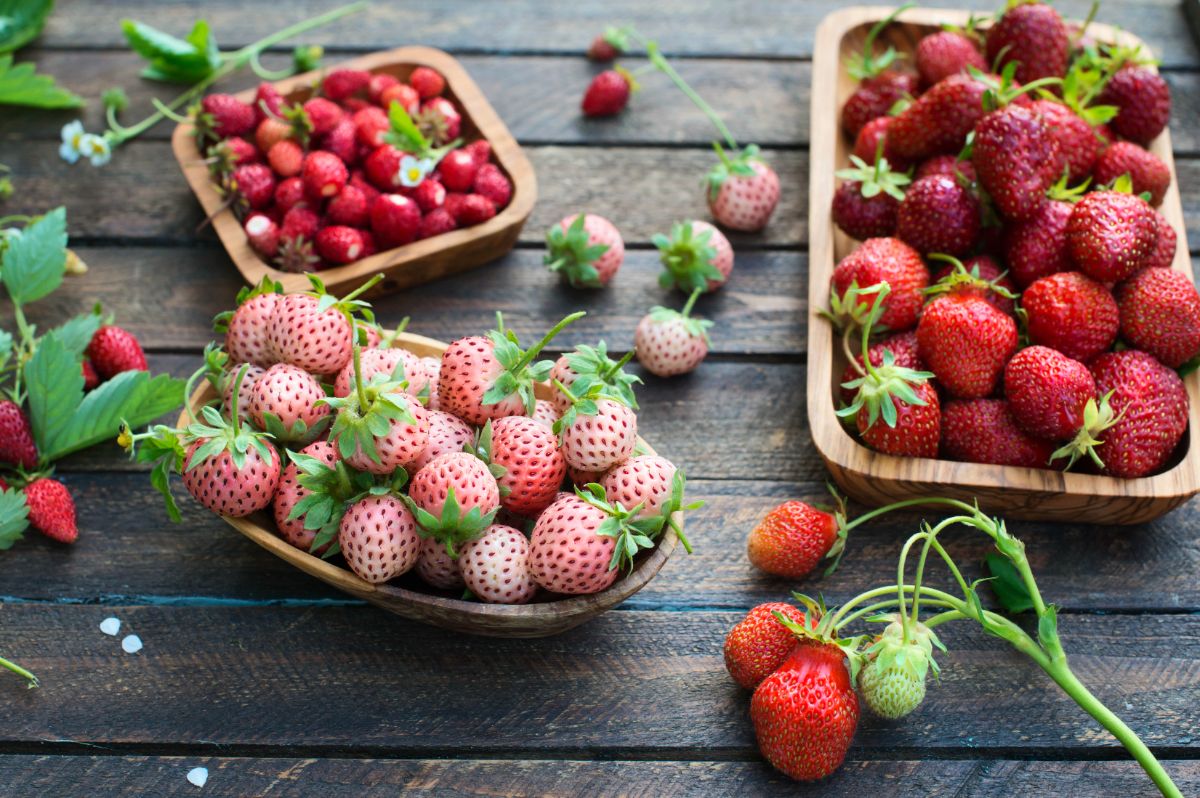 Variety of strawberries on wooden table