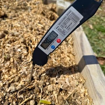 A soil thermometer in a garden raided bed.