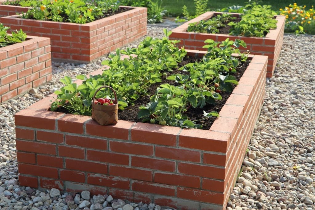 Raised garden beds made out of bricks.