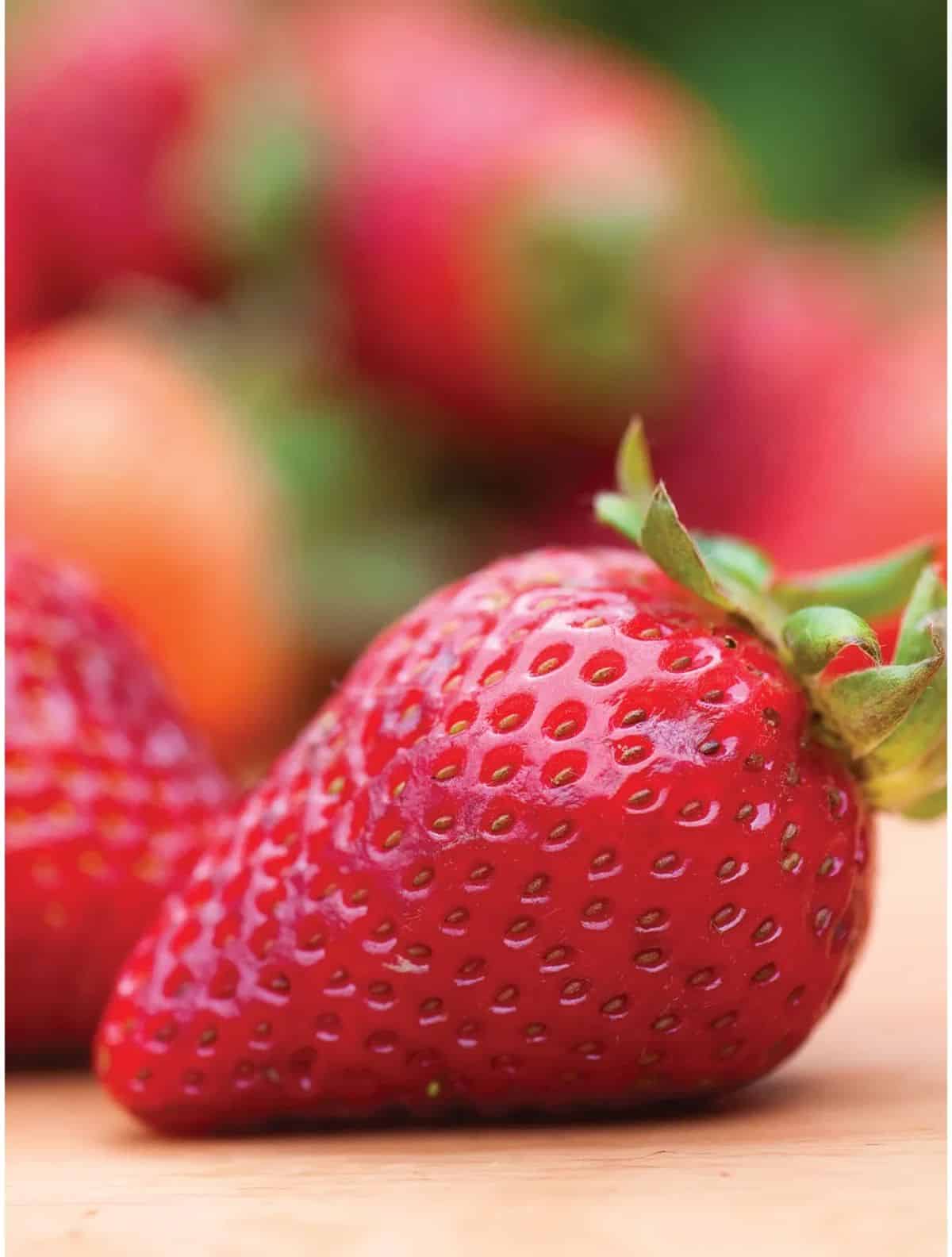 Ripe seascape strawberry fruits close-up.