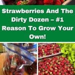 Strawberries And The Dirty Dozen – #1 Reason To Grow Your Own! pinterest image.