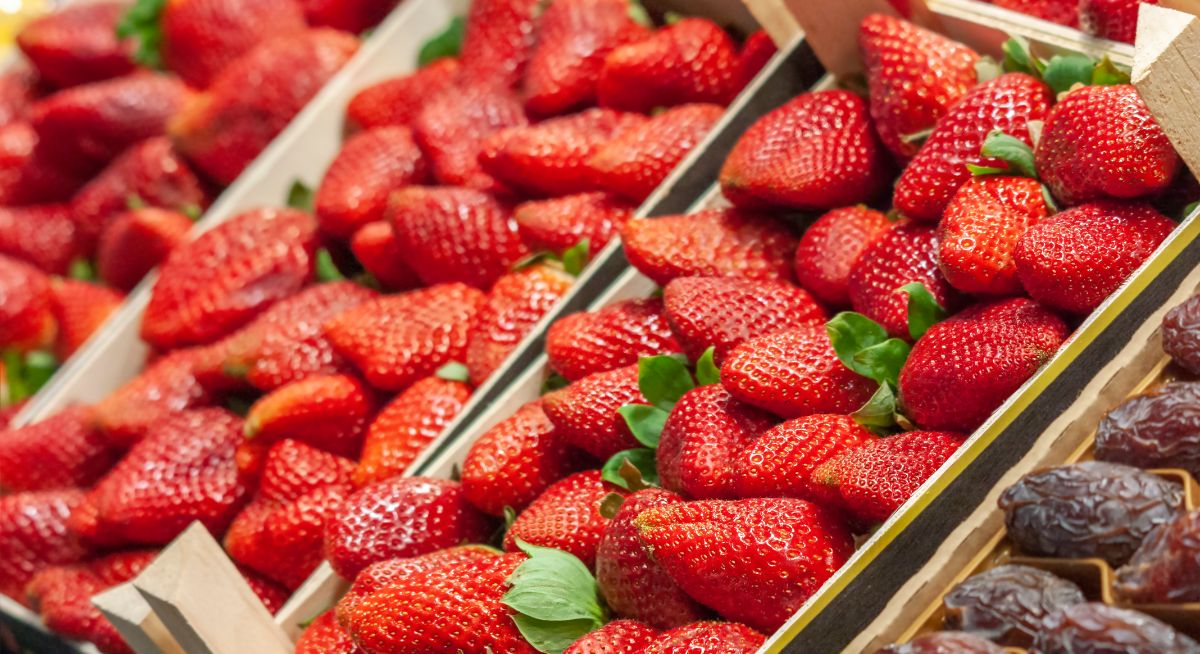 Ripe fresh strawberries in fruit crates