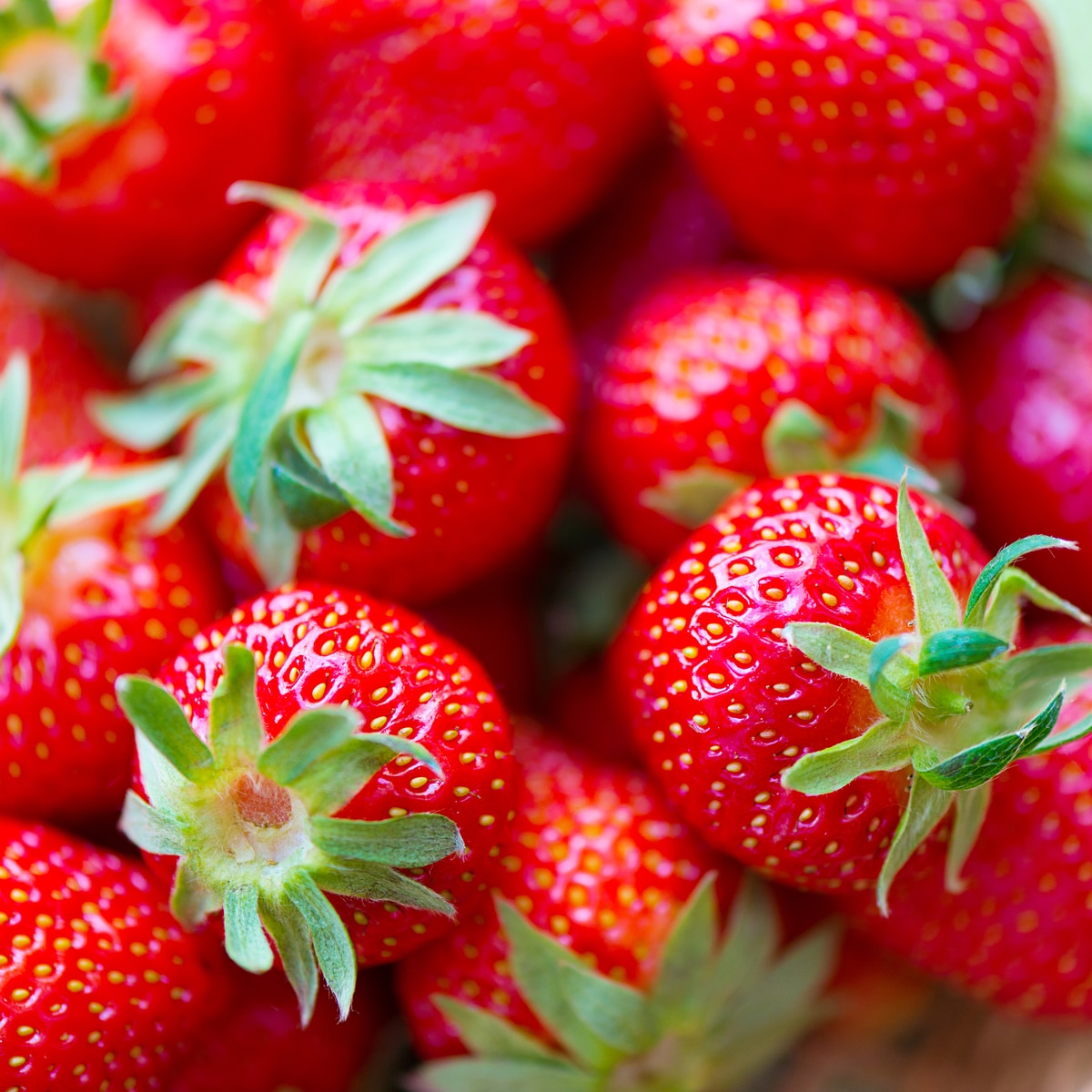 Close shot of ripe fresh strawberries