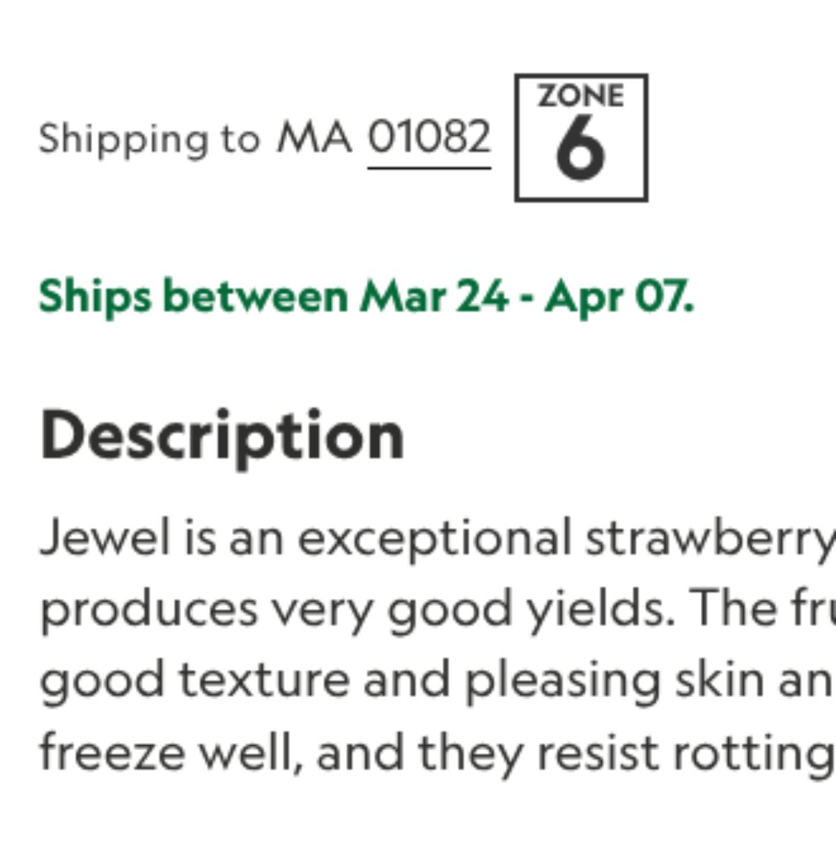 Strawberry plant shipping notice in a seed catalog