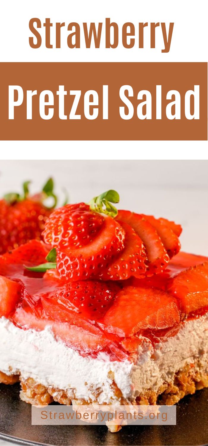Strawberry Pretzel Salad Recipe – Strawberry Plants