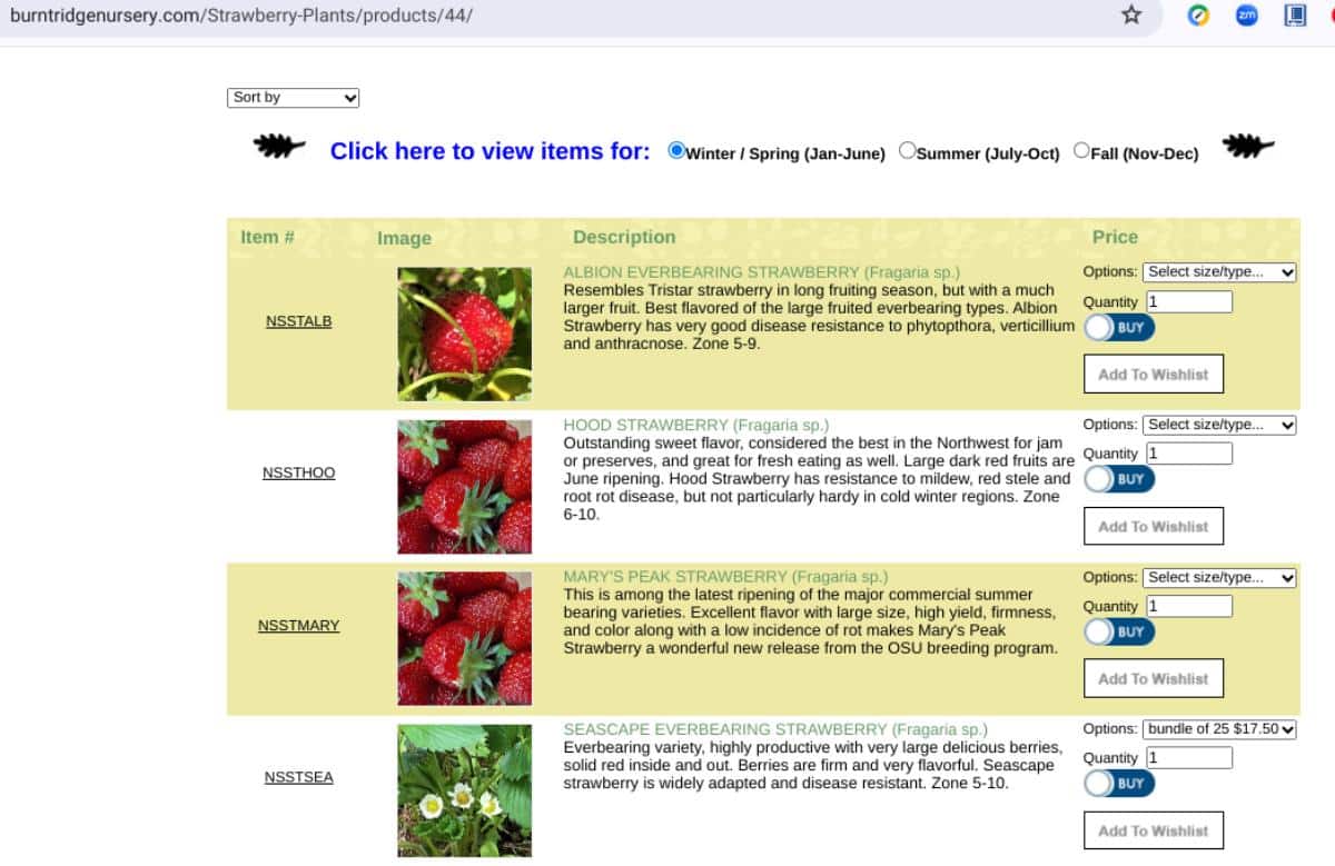 Listing of strawberry plants for fall shipping