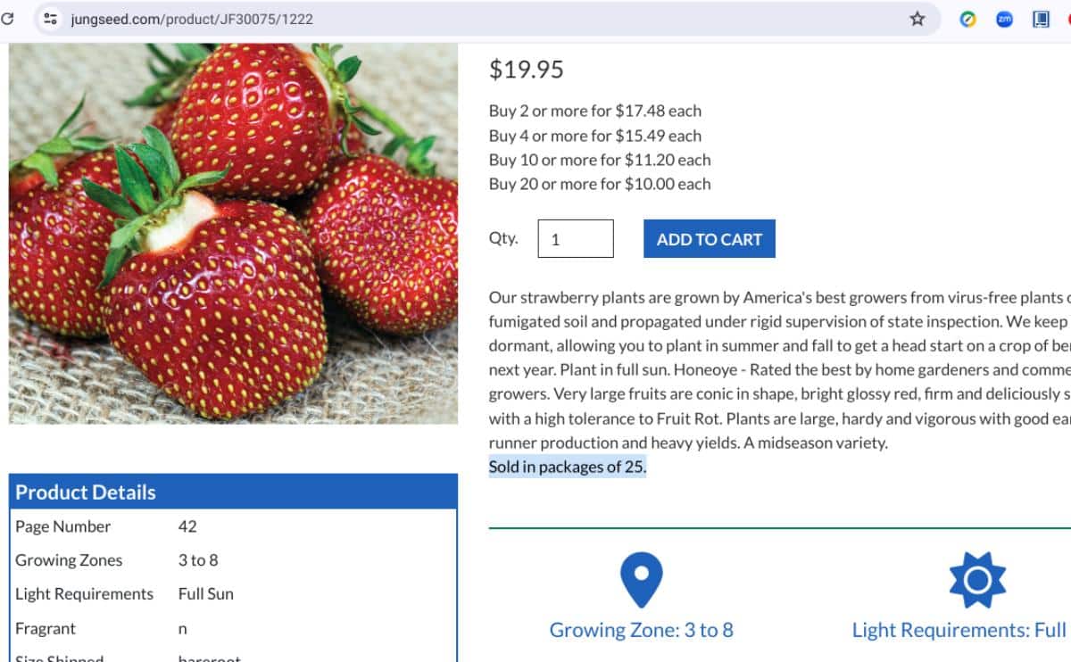 Fall bare root strawberries in packages of 25