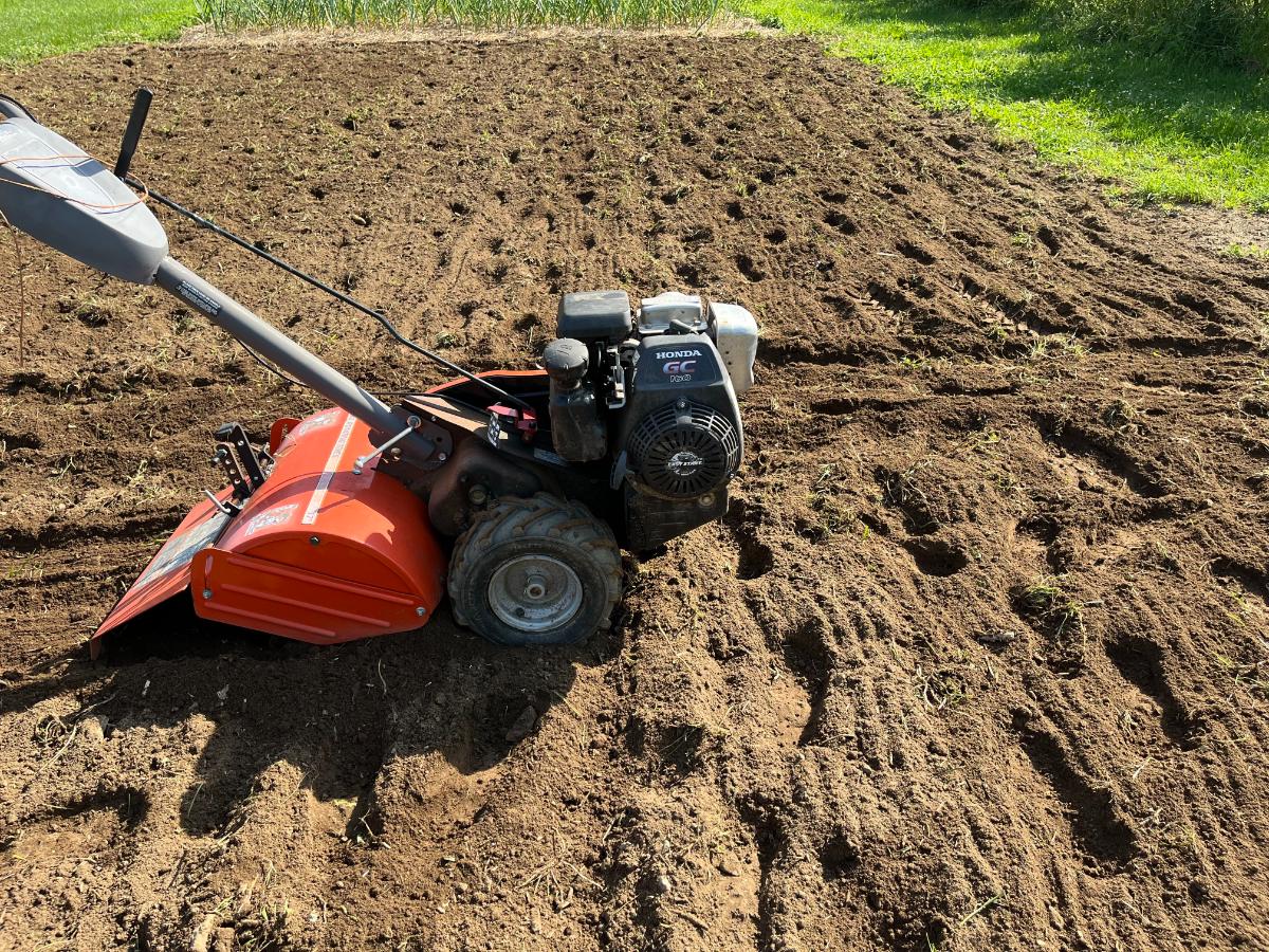 A rototiller in a strawberry bed