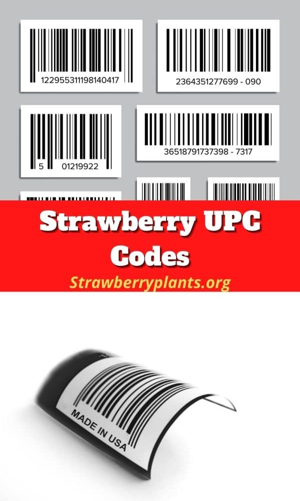 Strawberry UPC Codes Strawberry Plants
