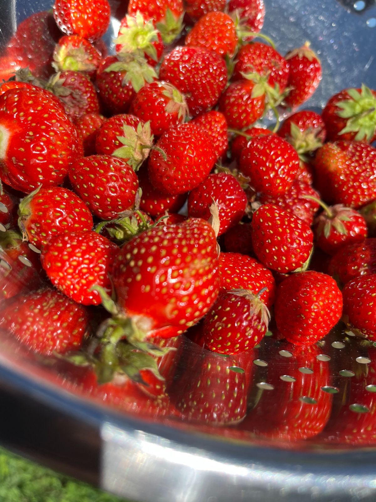 Bright, freshly washed homegrown strawberries